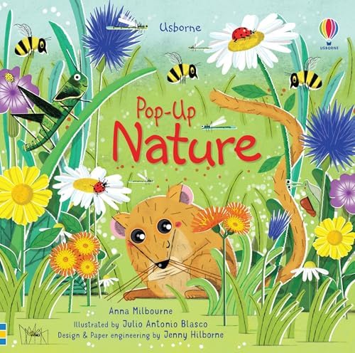 Pop-Up Garden: Watt, Fiona: 9781409590347: Amazon.com: Books